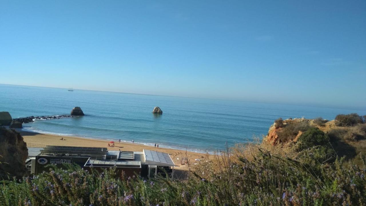 Albur Village B - Camomile Alvor Bagian luar foto