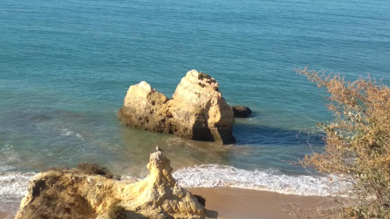 Albur Village B - Camomile Alvor Bagian luar foto